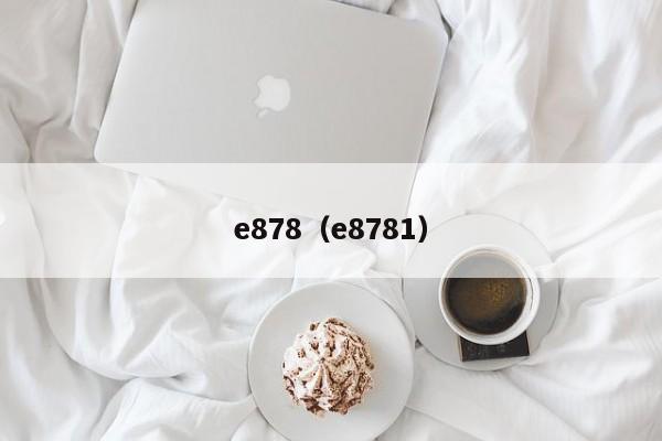 e878（e8781） 
