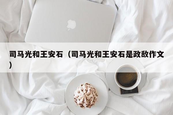 司马光和王安石（司马光和王安石是政敌作文） 