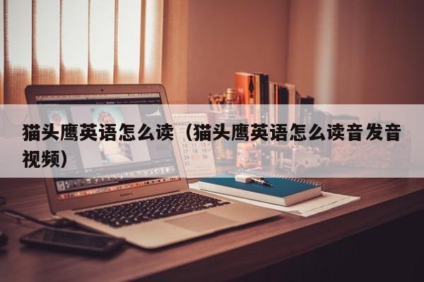 猫头鹰英语怎么读（猫头鹰英语怎么读音发音视频） 