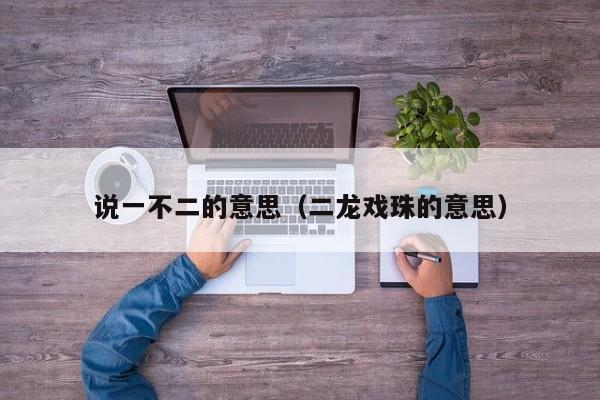 说一不二的意思（二龙戏珠的意思） 