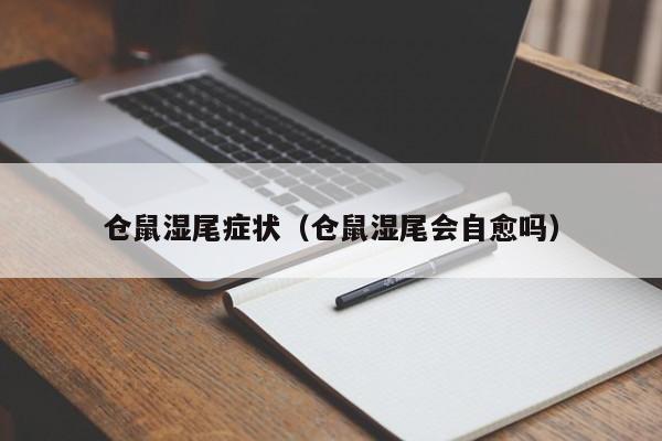 仓鼠湿尾症状（仓鼠湿尾会自愈吗） 