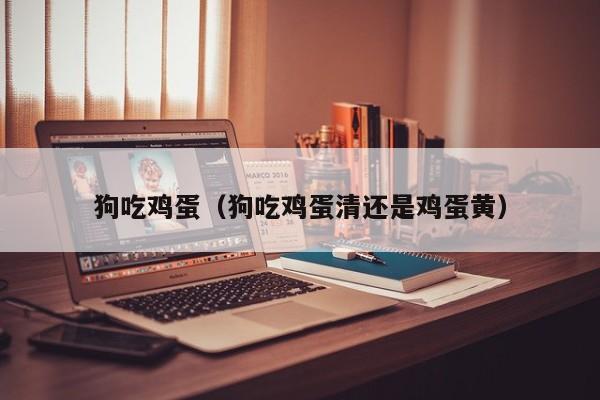狗吃鸡蛋（狗吃鸡蛋清还是鸡蛋黄） 
