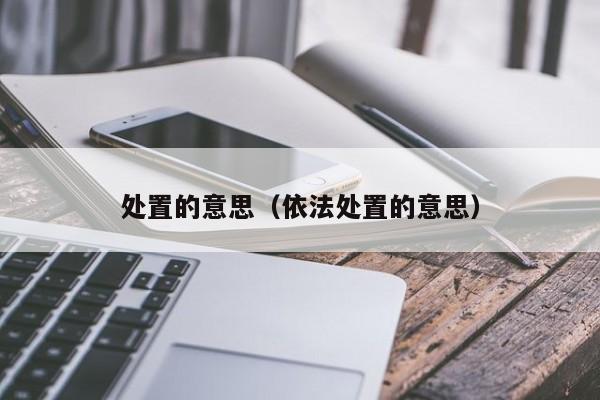 处置的意思（依法处置的意思） 