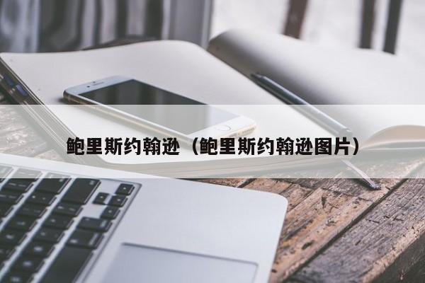 鲍里斯约翰逊（鲍里斯约翰逊图片） 