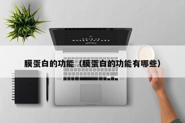 膜蛋白的功能（膜蛋白的功能有哪些） 