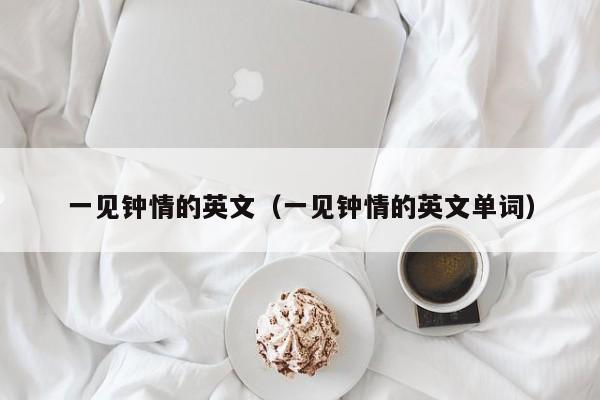 一见钟情的英文（一见钟情的英文单词） 
