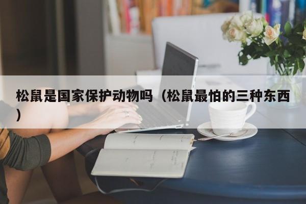 松鼠是国家保护动物吗（松鼠最怕的三种东西） 