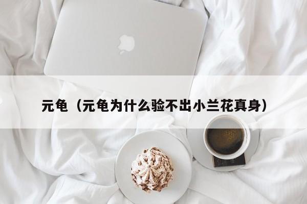 元龟（元龟为什么验不出小兰花真身） 