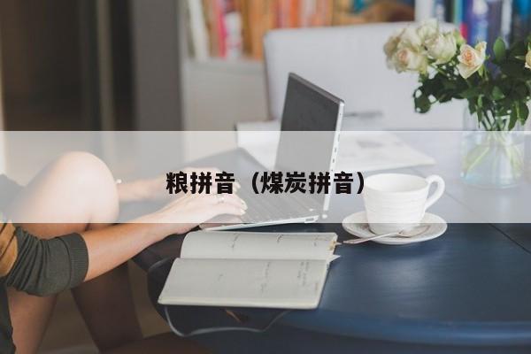粮拼音（煤炭拼音） 