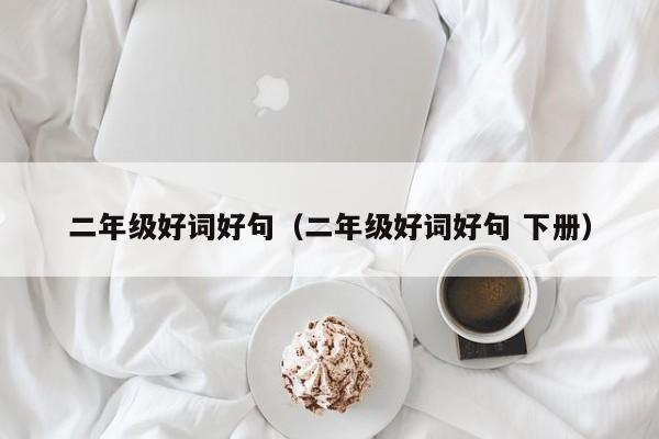 二年级好词好句（二年级好词好句 下册） 