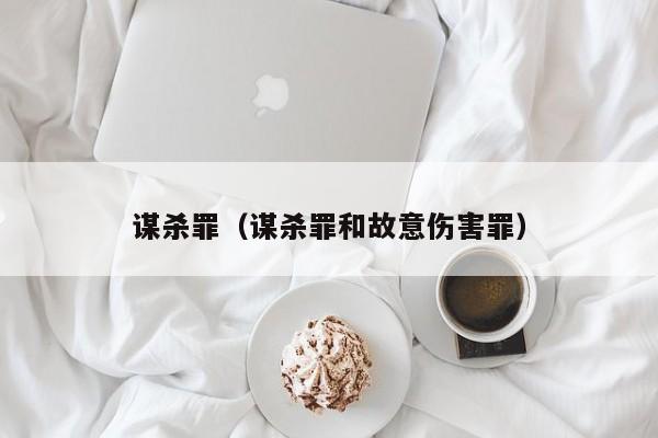 谋杀罪（谋杀罪和故意伤害罪） 