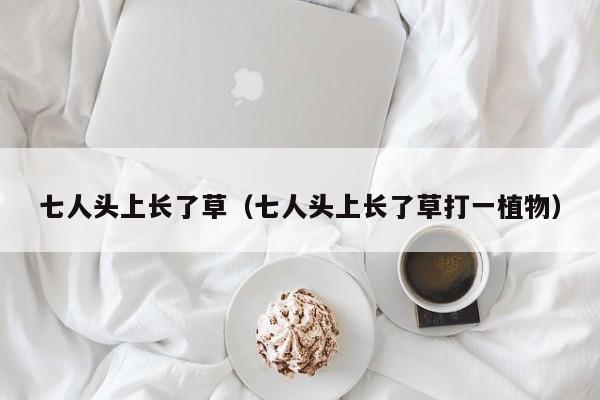 七人头上长了草（七人头上长了草打一植物） 