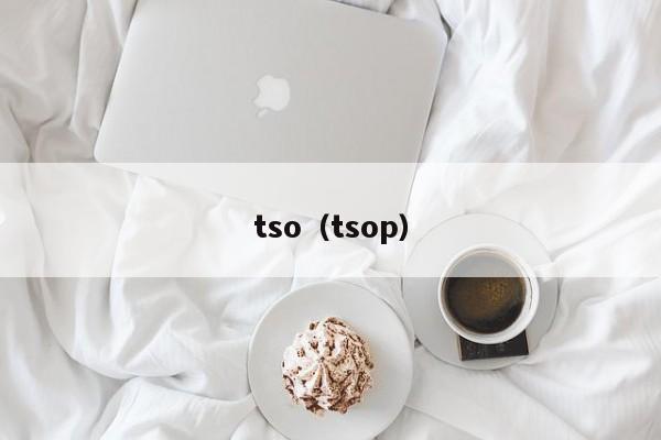 tso（tsop） 