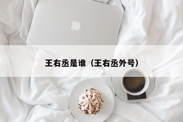 王右丞是谁（王右丞外号） 