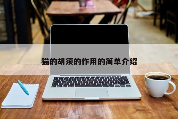 猫的胡须的作用的简单介绍 