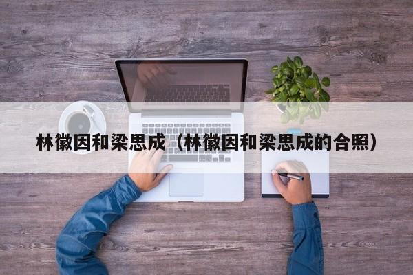 林徽因和梁思成（林徽因和梁思成的合照） 
